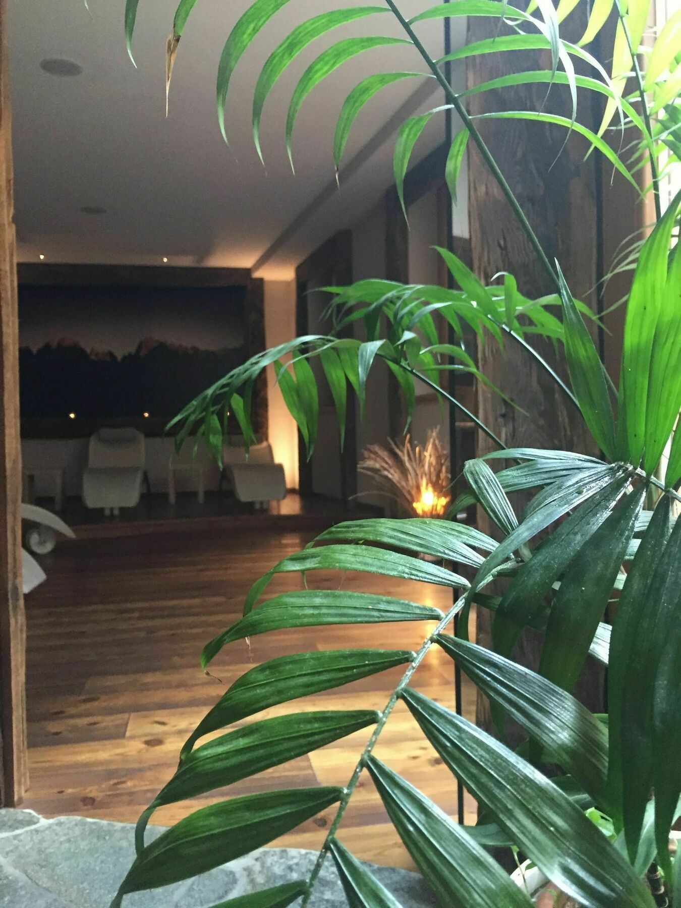 Maribel Hotel Madonna di Campiglio Ngoại thất bức ảnh